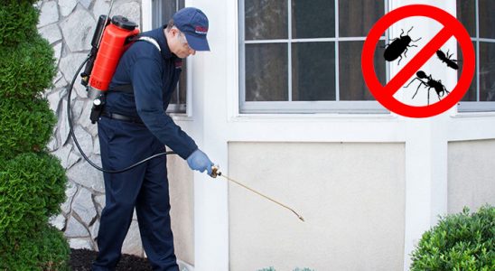 Murgul Gümüşkurt İlaçlama böcek ilaçlama ve haşere kontrolü — ilaclama-tr.com